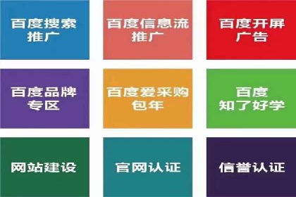 Sem优化公司实例：电商流量提升策略
